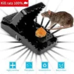 Mouse Killer Trap (5×3×3 inches) 1pcs