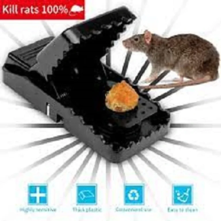 Mouse Killer Trap (5×3×3 Inches) 1Pcs