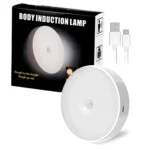 Body Induction Lamp